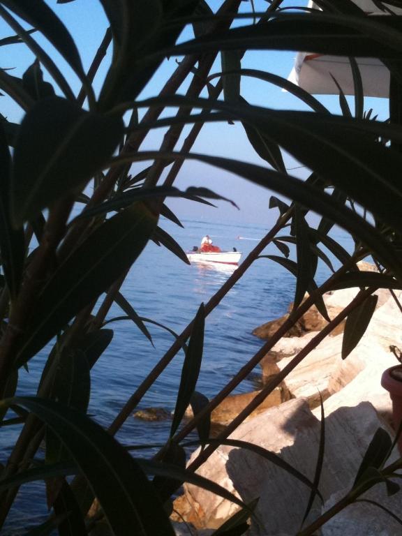 Apartament Casa Svalba Rovinj Zewnętrze zdjęcie